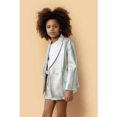 short giant glitter silver