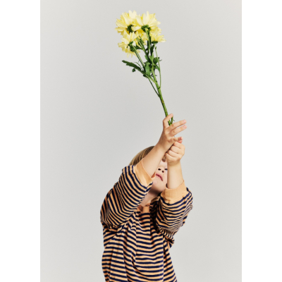 sweater wagon terrystripe biscuit 