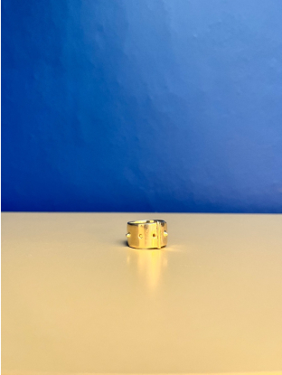 Ring Buckle messing goud