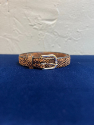 Belt Snake brown