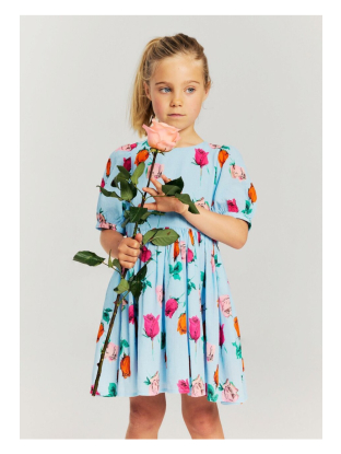 jurk welsa roses van morley