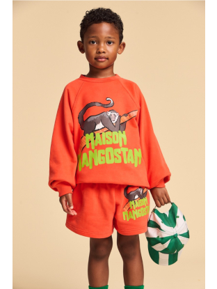 Monkey forest sweatshirt rood