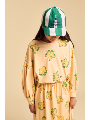 Stripes Mangostan logo pet