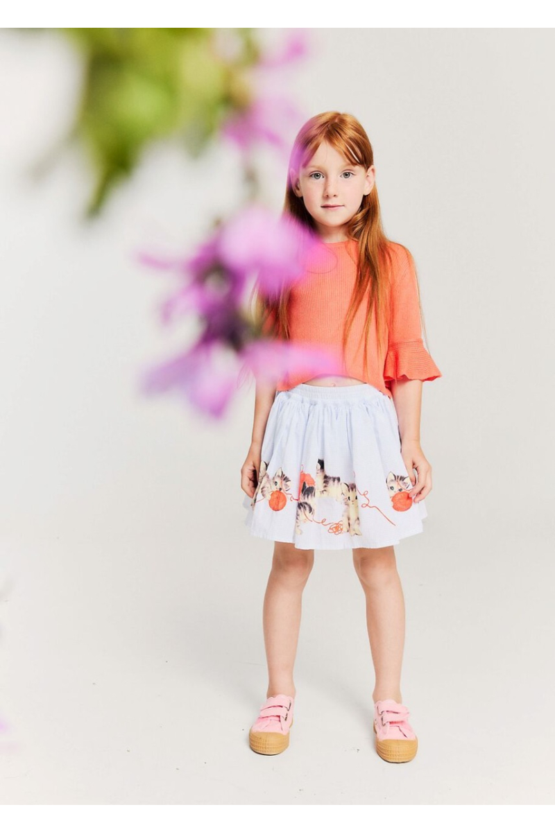 rok wizz kittens van morley