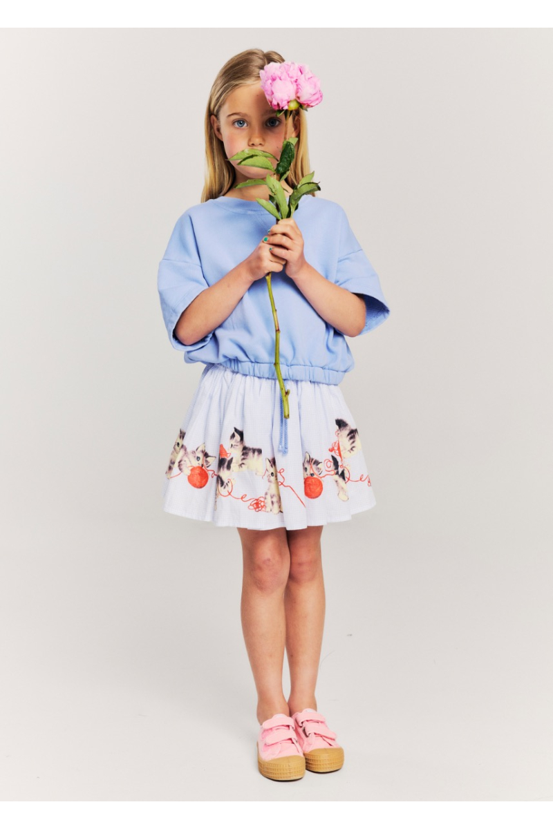 rok wizz kittens van morley