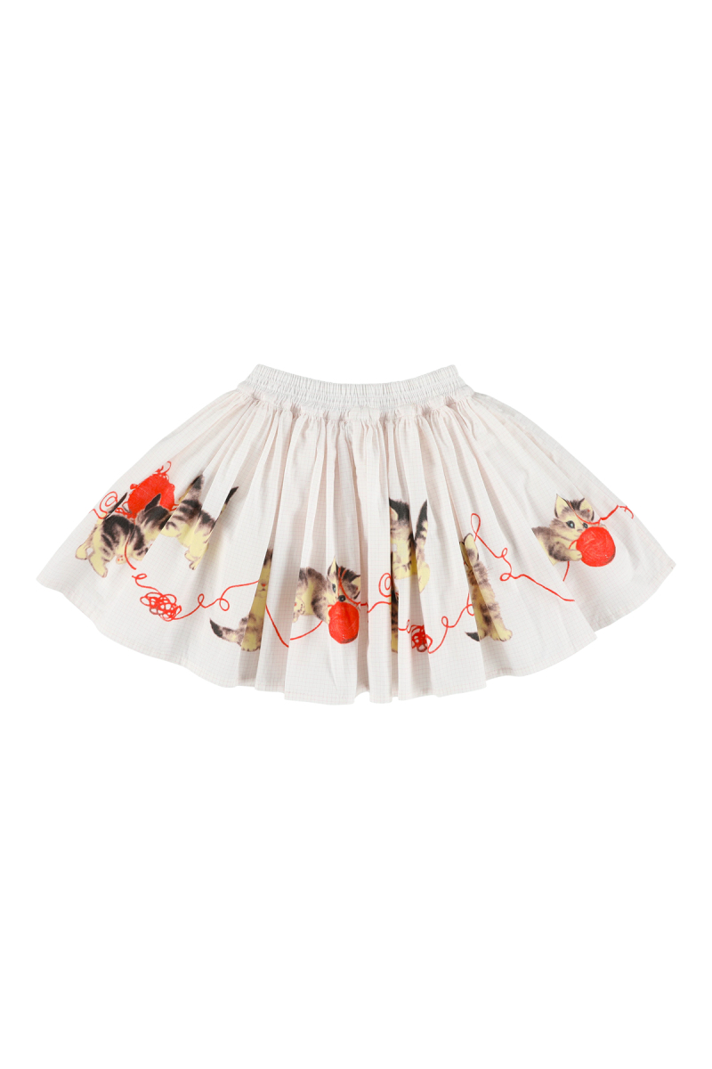 rok wizz kittens van morley