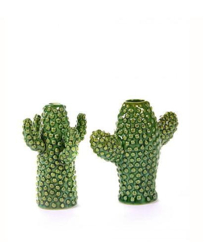 vase cactus by Marie Michielssen